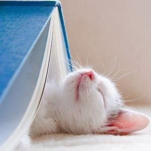 Meet your Posher, Silence